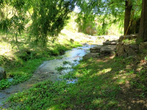 a small stream in a field with trees and grass at Estancia Altos del Durazno in Estancia Grande
