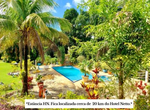 a swimming pool in a tropical garden with palm trees at Hotel Netto in Cachoeiras de Macacu