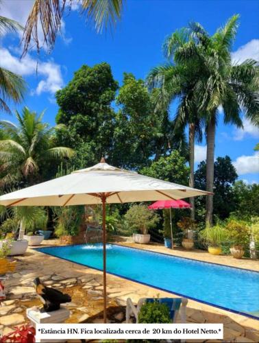 an umbrella next to a swimming pool with palm trees at Hotel Netto in Cachoeiras de Macacu