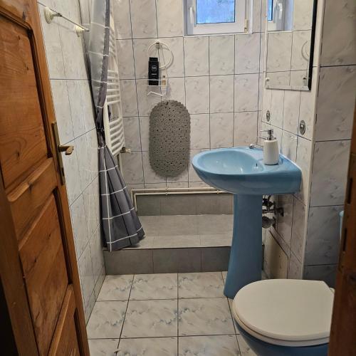 a bathroom with a blue sink and a shower at La munte Azuga in Azuga