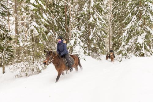 two people riding horses through a snow covered forest at Kyrkekvarn Stugby in Sandhem