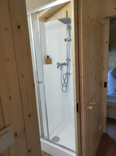 une douche avec une porte vitrée dans une pièce dans l'établissement Le Jardin Saint Germain Lodges and Events, à Plogastel-Saint-Germain