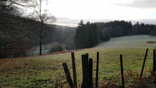a fence in the middle of a field at Eduard - Gîte Ardennais in Houffalize