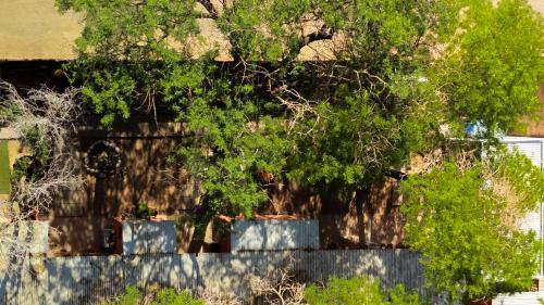 a group of trees in pots on a fence at Hostal Perita in San Pedro de Atacama