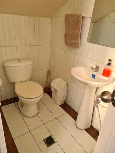 a bathroom with a toilet and a sink at Zeus cómodo e Imperdible in Cochabamba