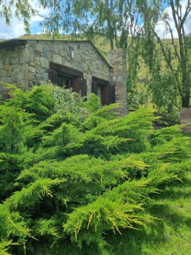 an old stone house surrounded by green plants at Estancia Altos del Durazno in Estancia Grande