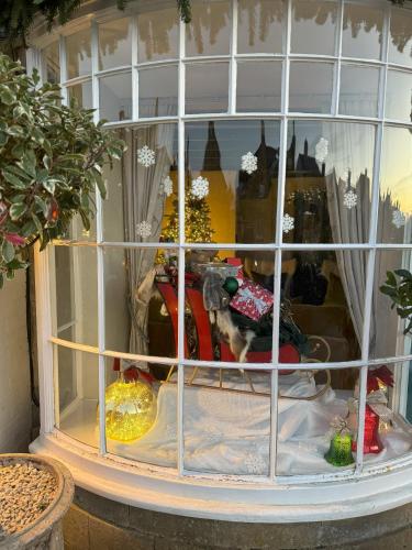 a window of a store with a dog in it at Bay House in Broadway