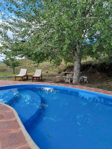 a blue swimming pool with two benches and a tree at Estancia Altos del Durazno in Estancia Grande