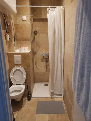 une petite salle de bain avec toilettes et douche dans l'établissement Studio au centre de strasbourg, à Strasbourg