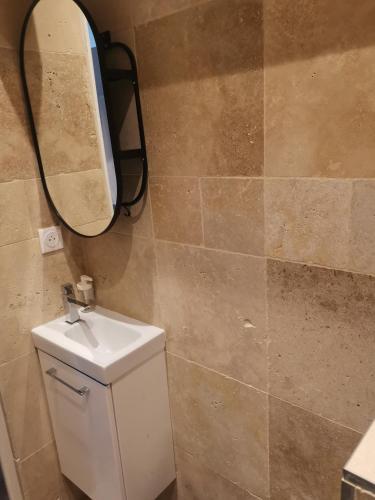 une salle de bain avec un lavabo et un miroir dans l'établissement Studio au centre de strasbourg, à Strasbourg