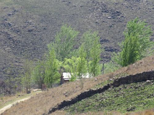 a field with trees and a building on a hill at Estancia Altos del Durazno in Estancia Grande