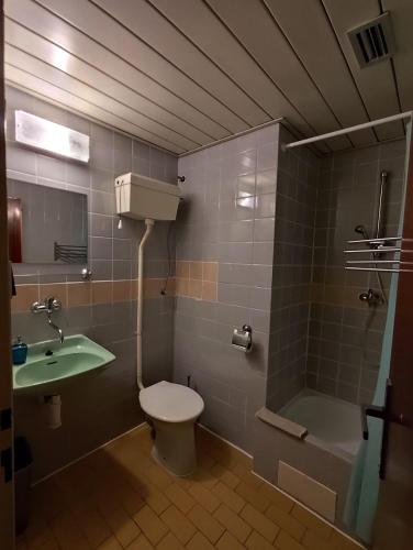a bathroom with a sink and a toilet and a shower at Horský Hotel Kubát in Benecko