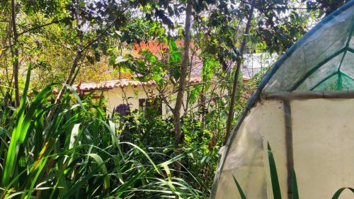 a tent sitting in the grass next to some trees at Bela Oyá Casa Hostel in Vale do Capao