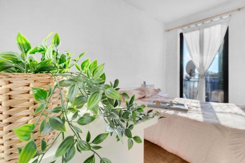 a plant sitting on a table next to a bed at 15min Malpensa - Casa x4 con self check-in in Busto Arsizio