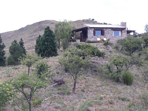 a house on top of a hill with trees at Estancia Altos del Durazno in Estancia Grande