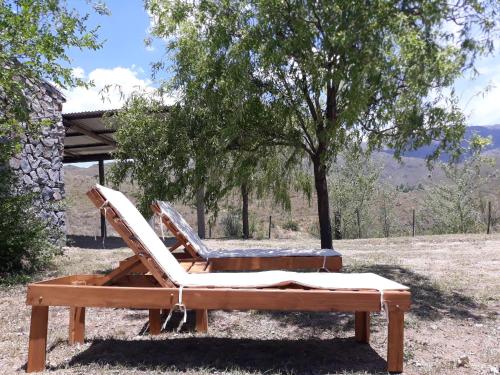 a chair sitting under a tree in a field at Estancia Altos del Durazno in Estancia Grande