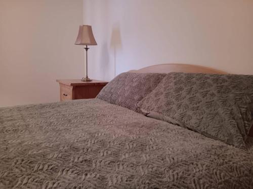 a bed with a blanket and a lamp on a table at Room 4, Williamstown, Ireland in Crumlin