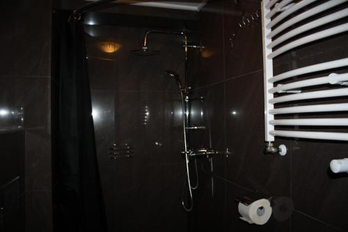 a bathroom with a shower and a toilet paper roll at Der Gutschmecker Bad Segeberg in Bad Segeberg