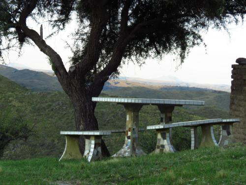 two benches sitting next to a tree on a hill at Estancia Altos del Durazno in Estancia Grande