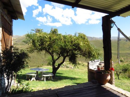 a picnic table and a tree in a field at Estancia Altos del Durazno in Estancia Grande