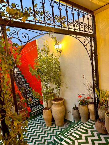 Un jardín fuera de Riad Phœnix