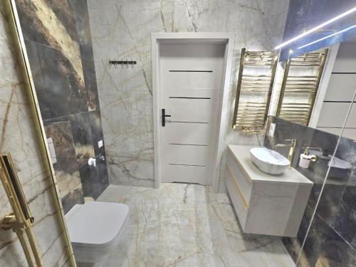 Un baño con inodoro, lavabo y ducha. en Hanza Tower AJP Glamour apartment high floor, en Szczecin