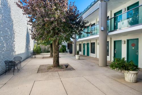 a tree in a courtyard next to a building at Brandywine Valley Inn SureStay Plus by Best Western in Wilmington