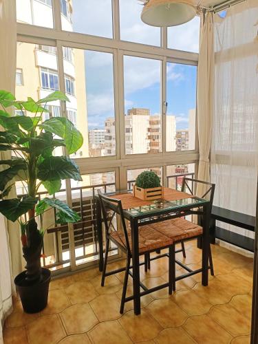 Estudio Oasis Urban