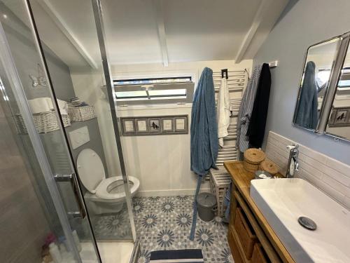 une salle de bain avec une douche, des toilettes et un lavabo dans l'établissement Charmante maison Cabourgeaise, à Cabourg