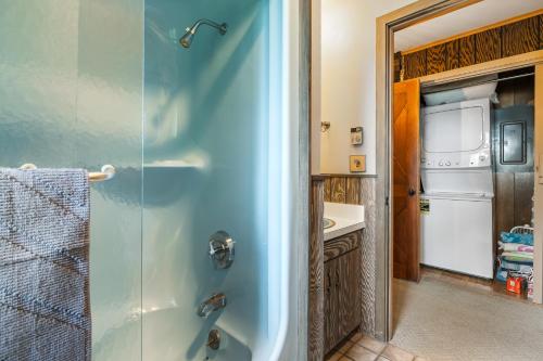 a bathroom with a shower and a sink at Log Cabin on Kangaroo Lake by Simple Life Rentals in Baileys Harbor