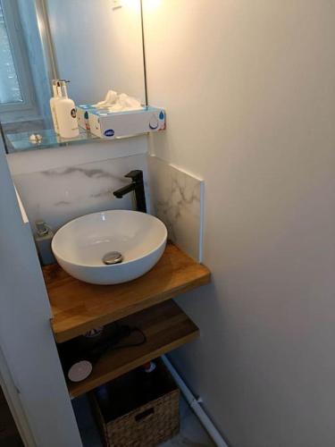 une salle de bain avec un lavabo et un miroir dans l'établissement Agréable studio - WiFi, à Dijon