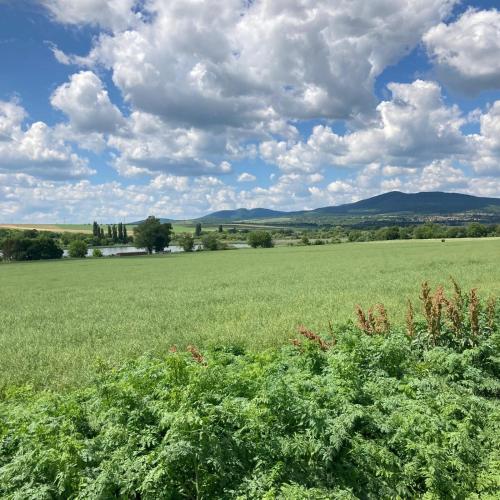 a field of green grass with a cloudy sky at A kis parasztház in Kékesd