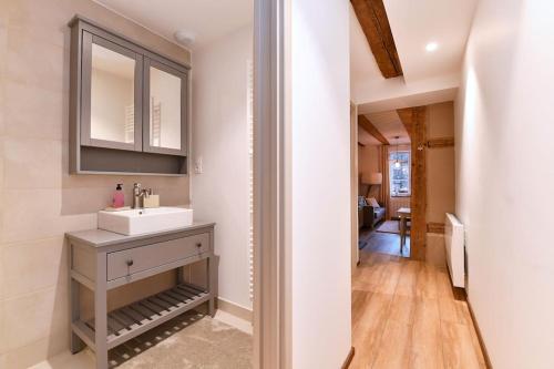 une salle de bain avec un lavabo et un miroir dans l'établissement Dessine-moi un mouton - 4guests -2BR, à Colmar