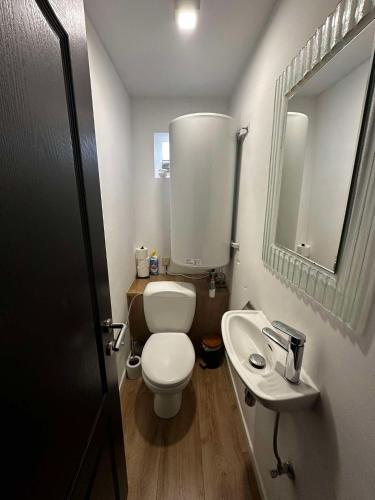 a small bathroom with a toilet and a sink at La Résidence du moulin 2 E pour 6 Personnes in Boussu
