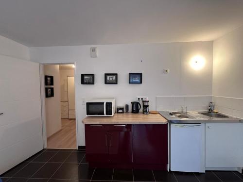 une cuisine avec un évier et un micro-ondes dans l'établissement Nina-Studio, à Strasbourg