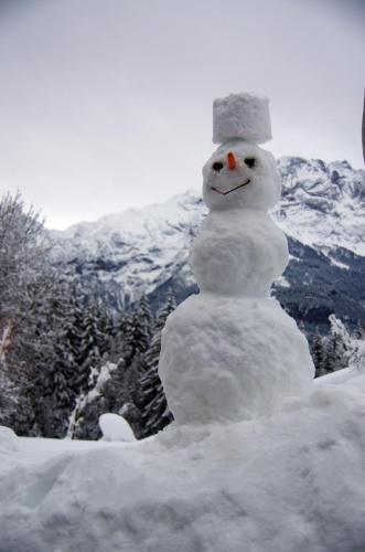 Ferienwohnung Leuweli durante el invierno