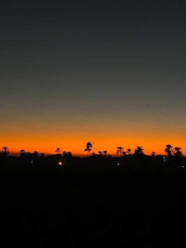 a sunset with palm trees in the foreground at Dar Lina Guesthouse Luxor in Luxor