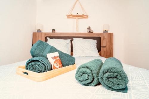 Élégant Duplex Historique Alsacien