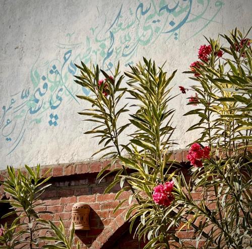 a wall with writing on it with some plants at Dar Lina Guesthouse Luxor in Luxor