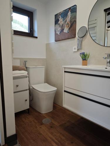 a bathroom with a toilet and a sink and a mirror at El Nial de Los Pinos in Ojedo