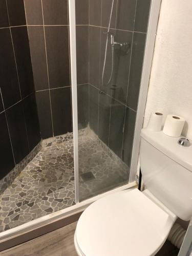 La salle de bains est pourvue d'une douche et de toilettes blanches. dans l'établissement Studio chaleureux avec piscine, au Barcarès