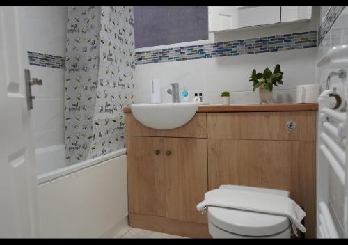 a bathroom with a sink and a toilet and a shower at Cosy 2 bedroom on Bromley-Lewisham Hospital Borders in Catford