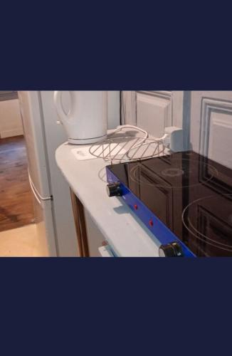 Il comprend une cuisine équipée d'un four micro-ondes et d'un réfrigérateur. dans l'établissement Iris, à Thiers