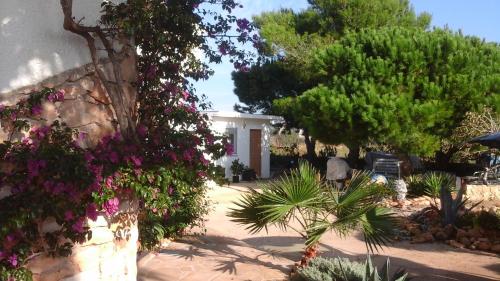 Κήπος έξω από το Chalet Atalants Yailja