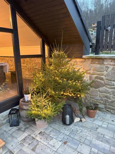a group of christmas trees in pots on a patio at Chata pod Cigerníkom in Matiašovce