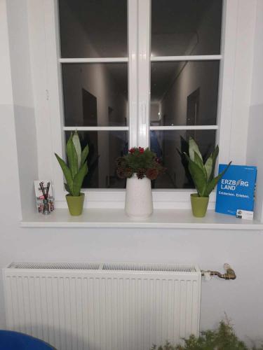 a window sill with three potted plants on it at Eisenerzer Apartments - Radmeisterhaus in Eisenerz