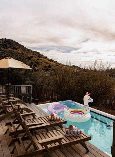 a pool with a inflatable duck in the middle at BEST VIEWS in Albuquerque with hot tub and pool in Albuquerque
