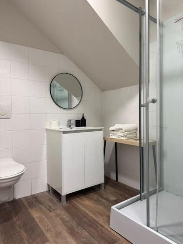 une salle de bain avec toilettes, lavabo et miroir dans l'établissement Chambre indépendante, à Muret