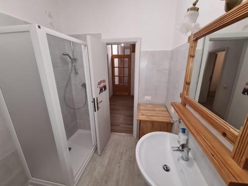 a bathroom with a sink and a shower and a toilet at Lodge Pizzo Alpestre in Abetone