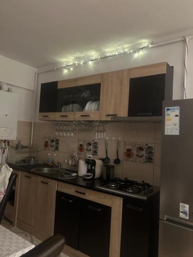 Cuisine ou kitchenette dans l'établissement Alinaalis
